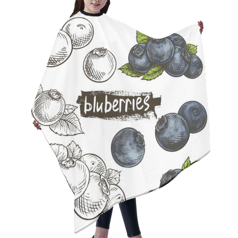 Personality  Blueberries. Hand Drawn Illustration. Wild Berries Set. Hair Cutting Cape