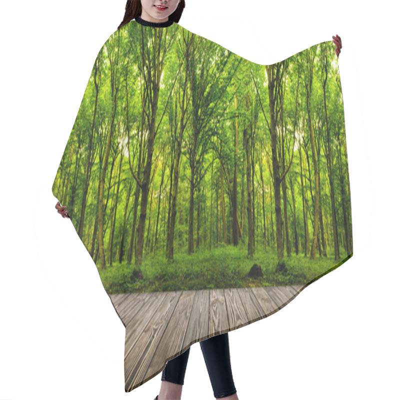 Personality  Forest Trees. Hair Cutting Cape