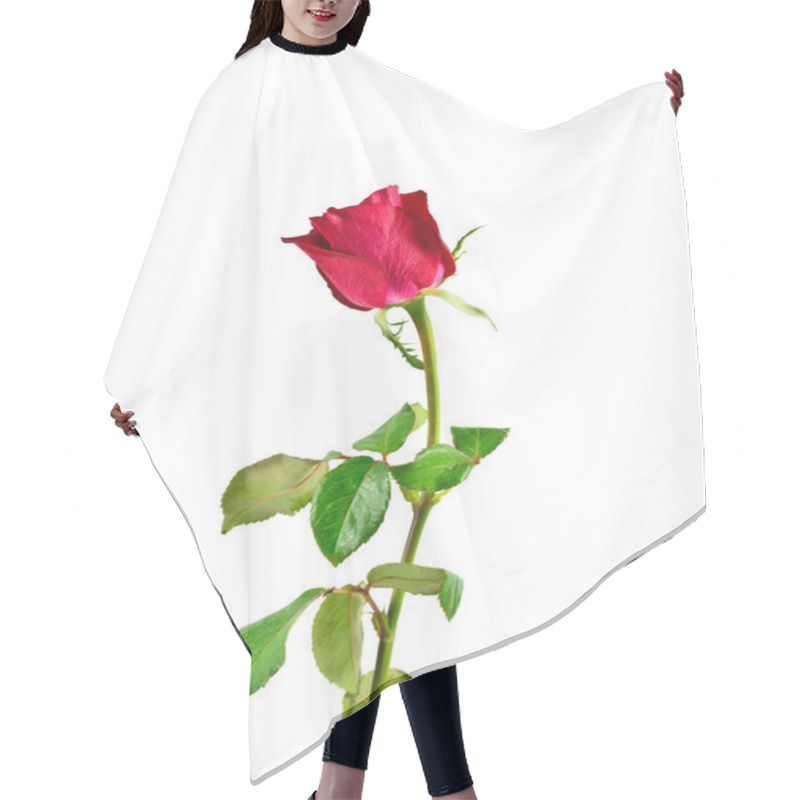 Personality  Red Rose Isolated On White Background Hair Cutting Cape