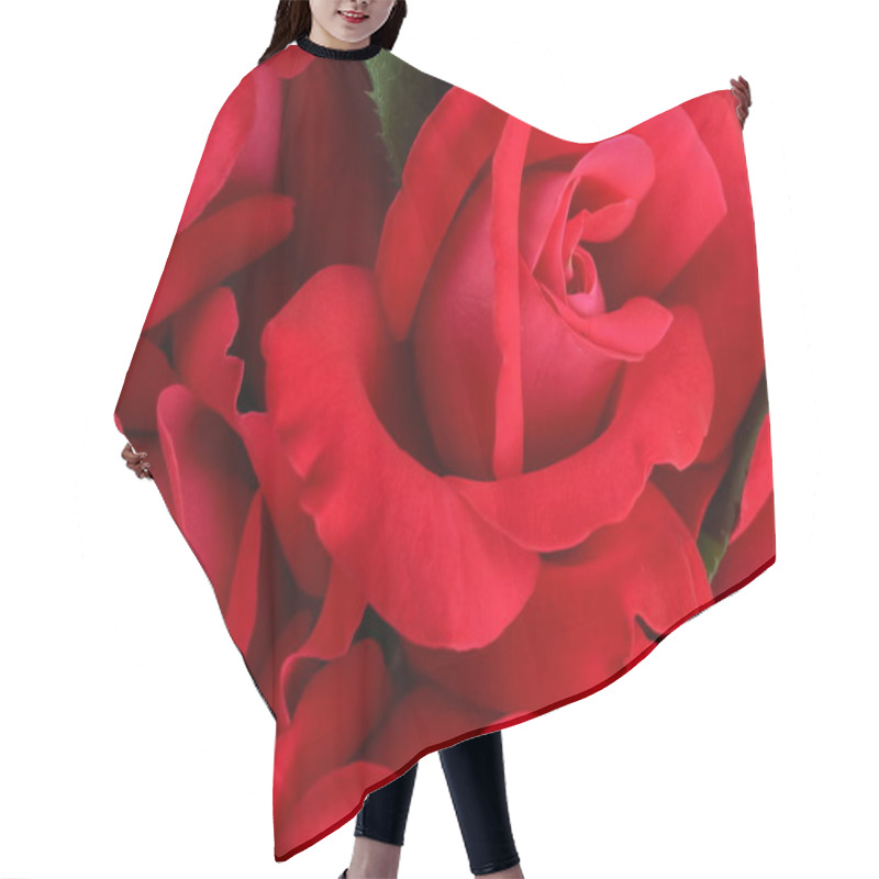 Personality  Close Up View Of Beautiful Red Flowers As Background Hair Cutting Cape