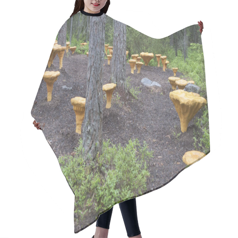 Personality  Golden Chanterelle-shaped Stools In The Enchanted Forest (Trolska Skogen) In Jattendal, Halsingland, Sweden In The Autumn 2017 Hair Cutting Cape