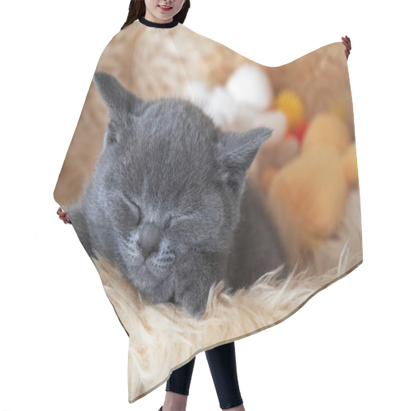 Personality  Portrait Of A Cute Cat  Hair Cutting Cape