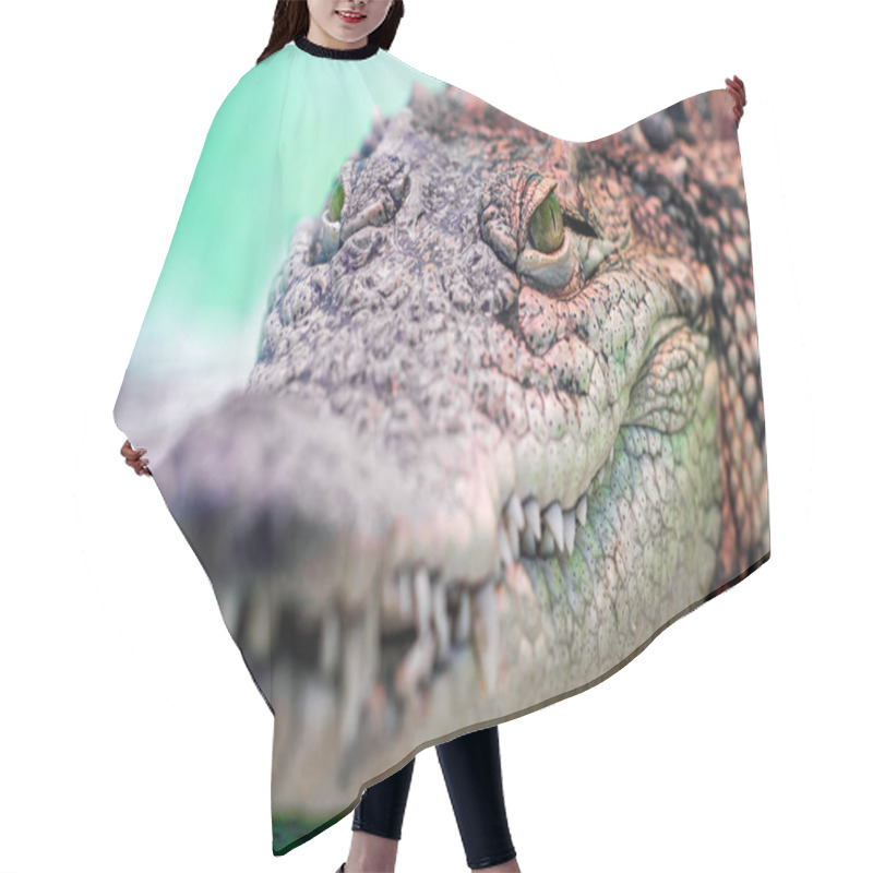 Personality  Crocodile Head With Toothy Mouth And Yellow Eye Close Up On A Green Background Hair Cutting Cape