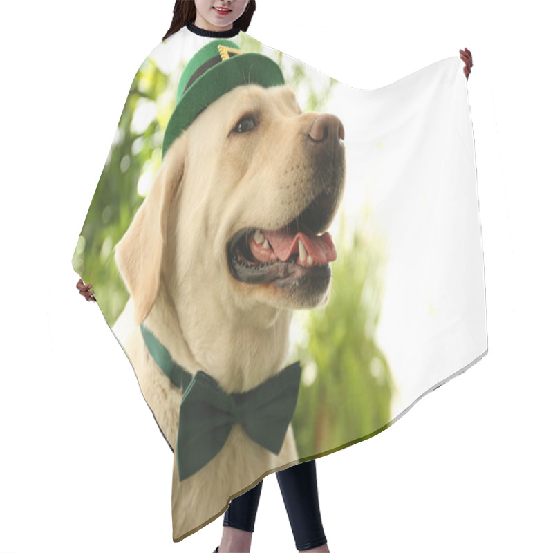 Personality  Labrador Retriever With Leprechaun Hat And Bow Tie Outdoors, Closeup. St. Patrick's Day Hair Cutting Cape