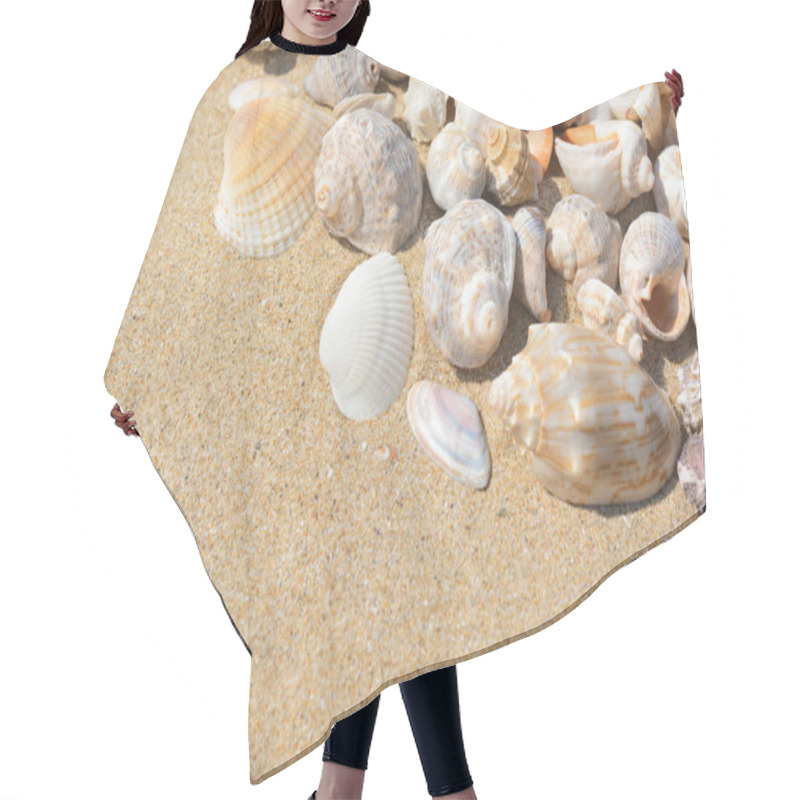 Personality  Many Beautiful Sea Shells On Sand, Closeup. Space For Text Hair Cutting Cape