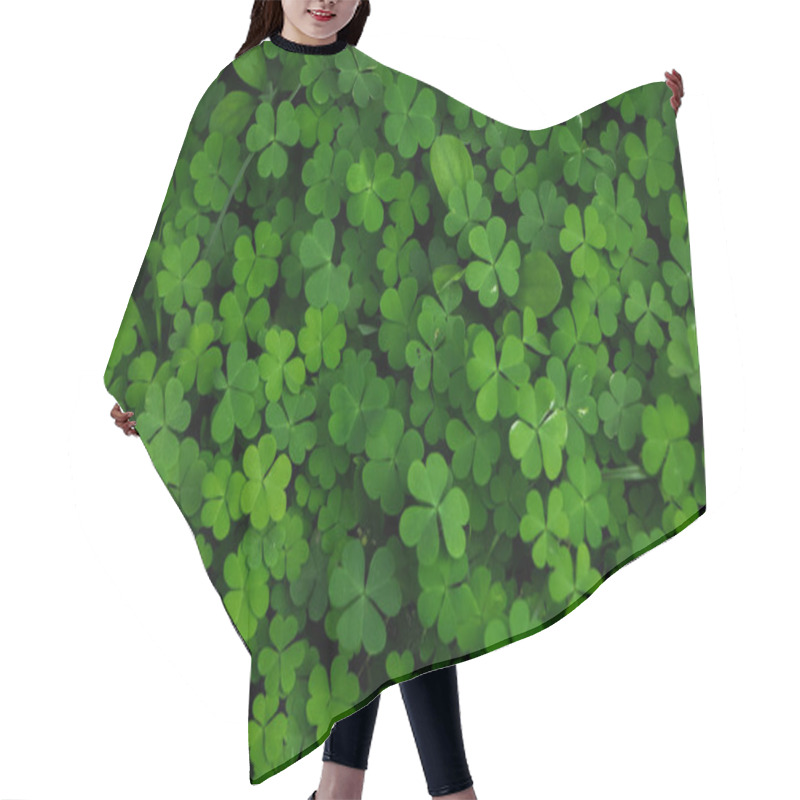 Personality  Natural Plant Green Background Of Small Wild Clover Hair Cutting Cape