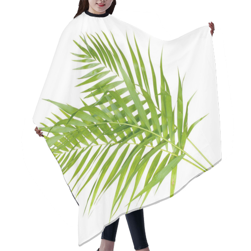 Personality  Beautiful Palm Leaves Isolated On White Hair Cutting Cape