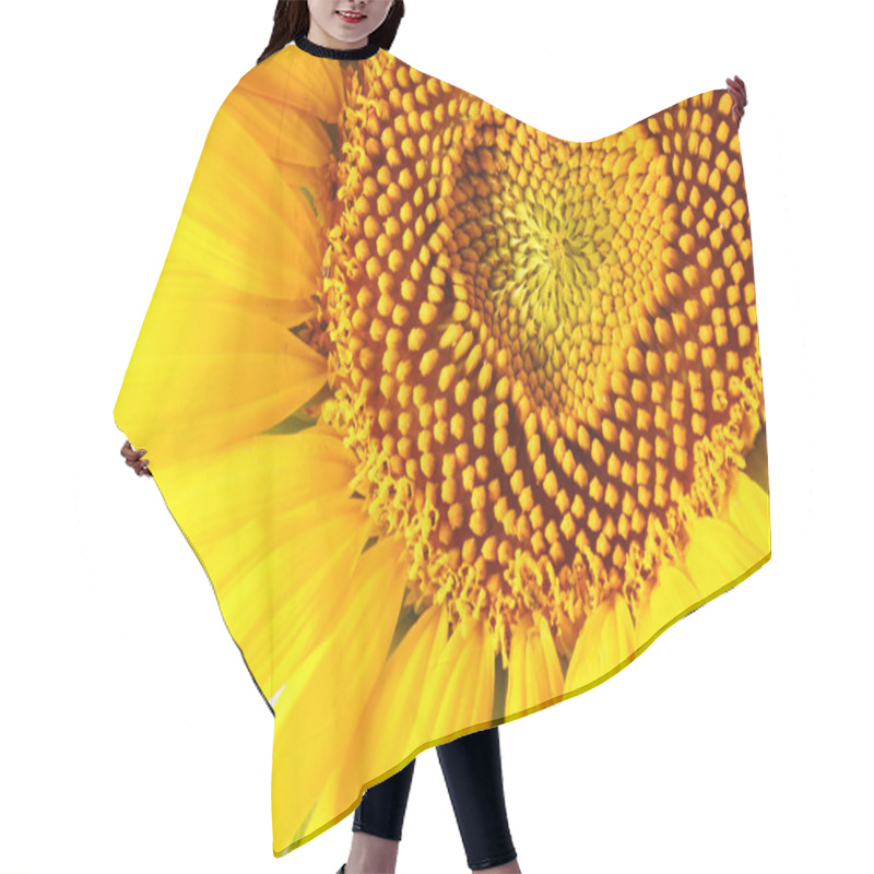 Personality  Stamens In The Form Of Heart On A Sunflower Hair Cutting Cape