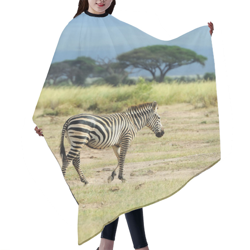 Personality  Zebra Hair Cutting Cape