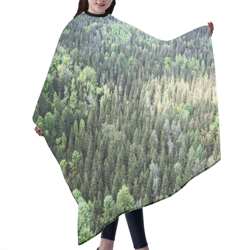 Personality  Forest Landscape From Above Hair Cutting Cape