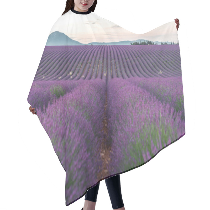 Personality  Capture The Breathtaking Beauty Of Lavender Fields In Provence, France, Basking In The Soft Morning Light. Hair Cutting Cape