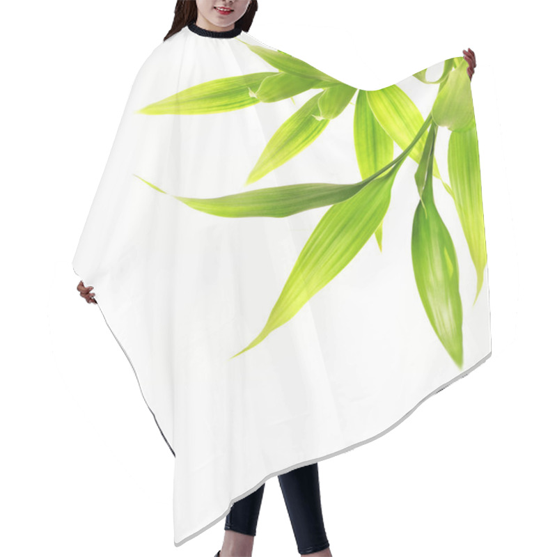 Personality  Bamboo Leaves Isolated On White Background Hair Cutting Cape