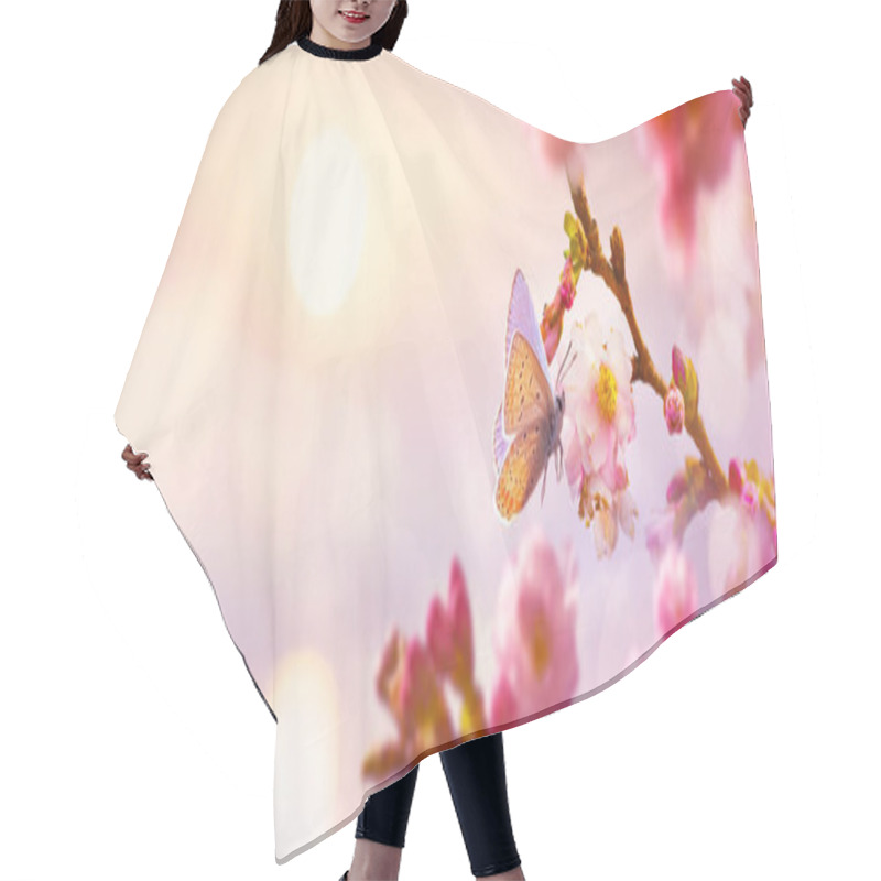 Personality  Spring Cherry Tree Blossoms Background; Easter Greeting Card Design With Copy Space; Hair Cutting Cape