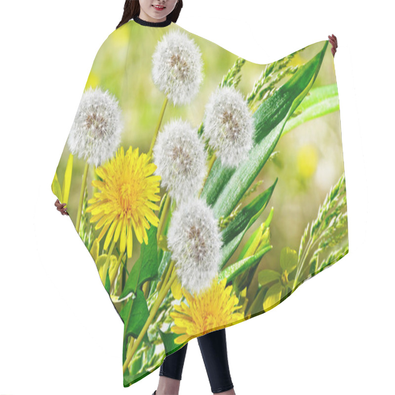 Personality  Summer Landscape. Flowers Dandelions Hair Cutting Cape