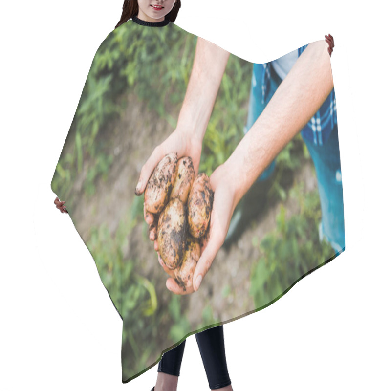 Personality  Cropped Image Of Farmer Holding Ripe Potatoes In Hands In Field  Hair Cutting Cape