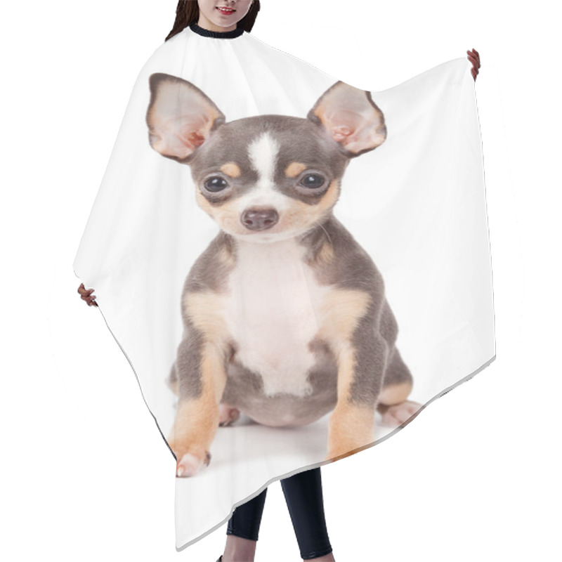 Personality  Puppy Chihuahua Hair Cutting Cape