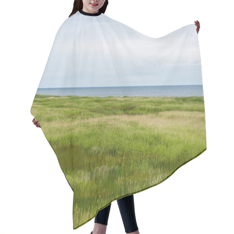 Personality  Green Grass Meadows And Fields Landscape In A Sunny Day Hair Cutting Cape