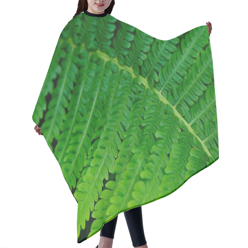 Personality  Shrubs Fern Background Hair Cutting Cape