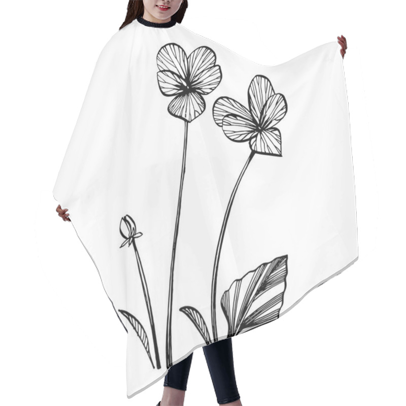 Personality  Pansy Or Daisy Flower. Botanical Illustration. Good For Cosmetics, Medicine, Treating, Aromatherapy, Nursing, Package Design, Field Bouquet. Hand Drawn Wild Hay Flowers Hair Cutting Cape