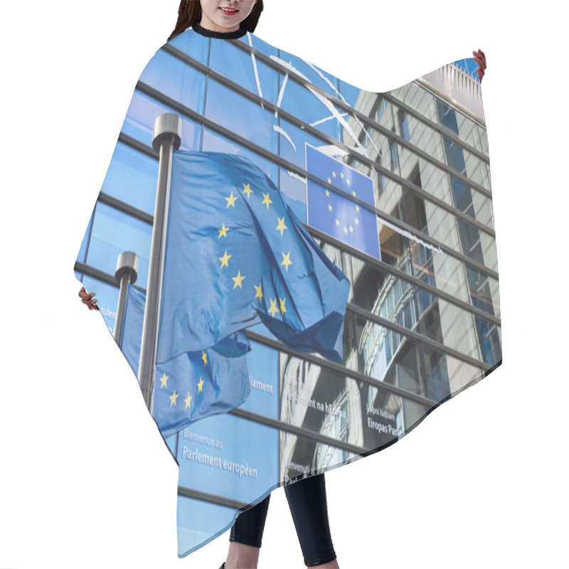 Personality  European Union Flag Against European Parliament Hair Cutting Cape