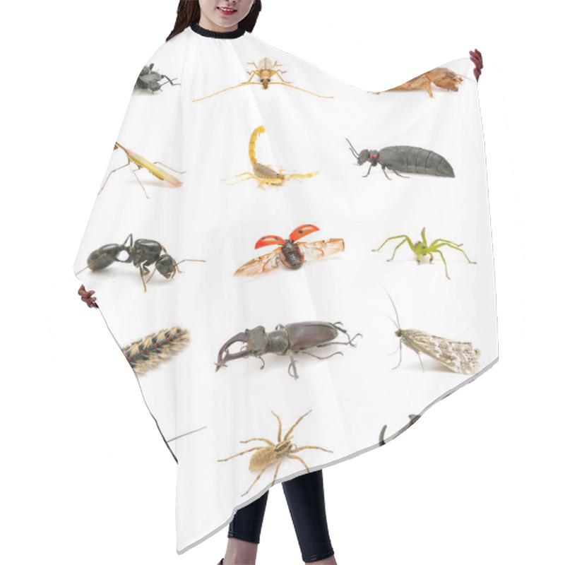 Personality  Insect Collection Isolated On White Background Hair Cutting Cape