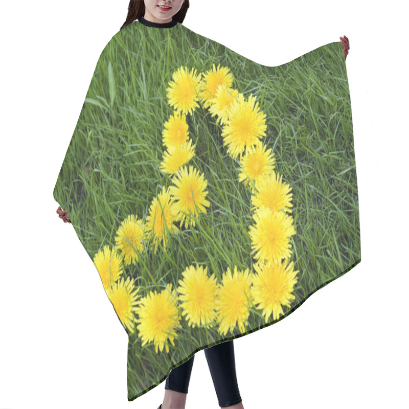 Personality  Dandelions Heart Hair Cutting Cape