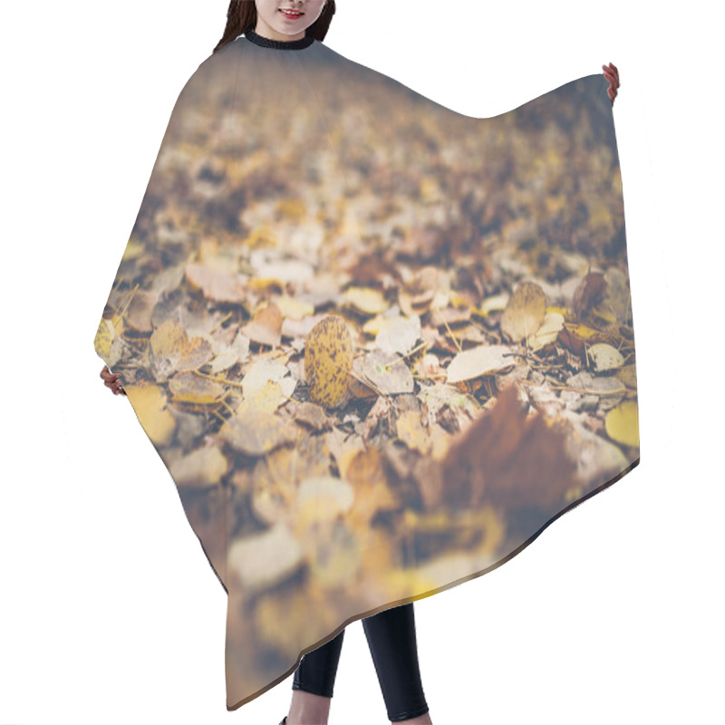 Personality  Yellow Leaves And Trees Hair Cutting Cape