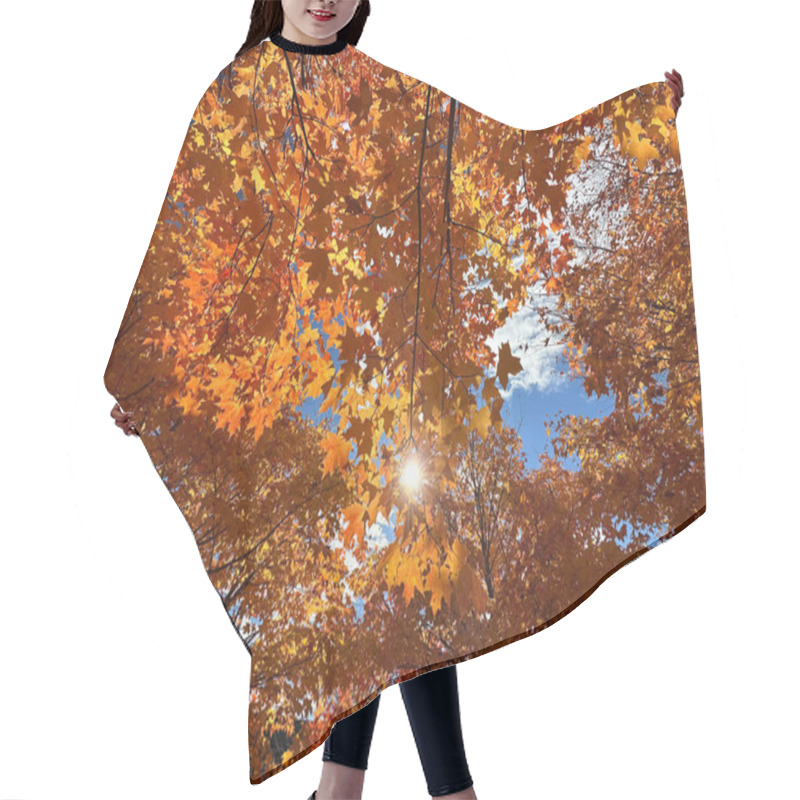 Personality  Autumn Leaves On A Blue Sky Background On A Sunny Day.  Hair Cutting Cape