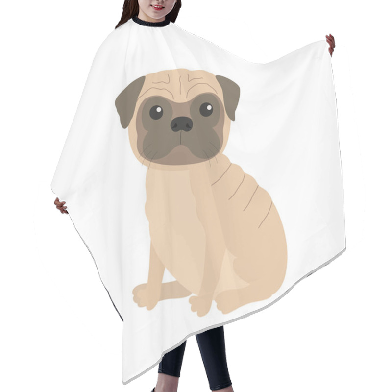 Personality  Pug Puppy Dog Hair Cutting Cape