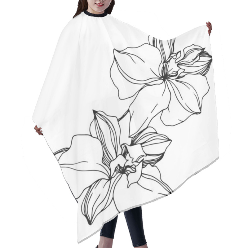 Personality  Vector Orchid Floral Botanical Flowers. Black And White Engraved Ink Art. Isolated Orchids Illustration Element. Hair Cutting Cape