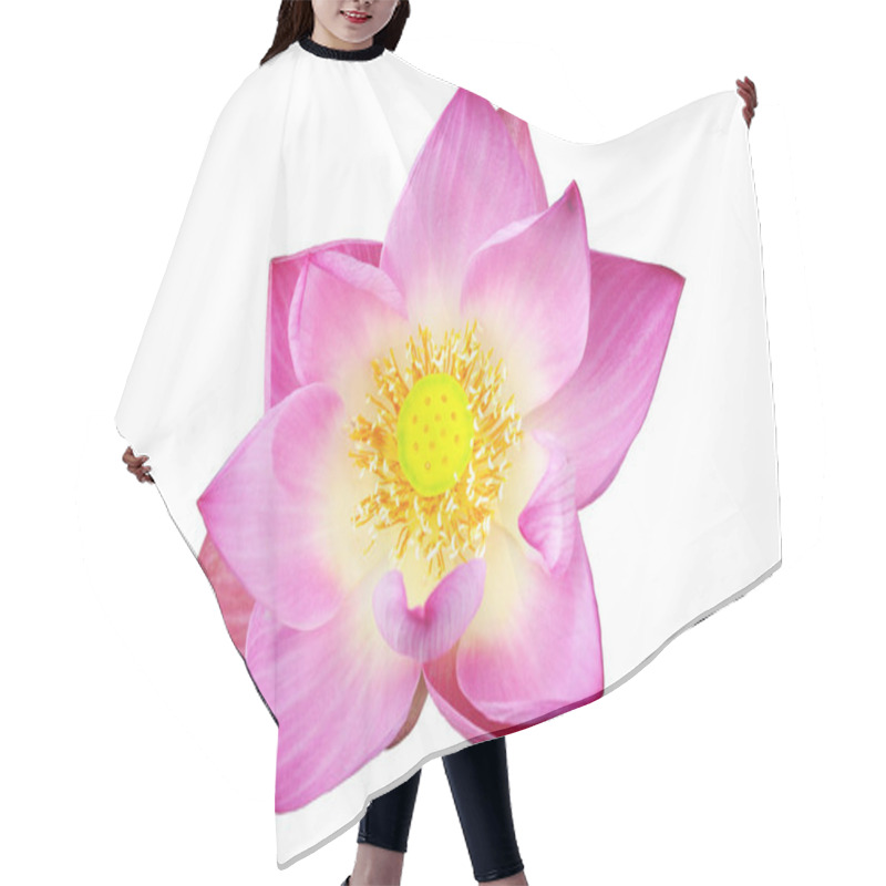 Personality  Pink Lotus Flower Hair Cutting Cape