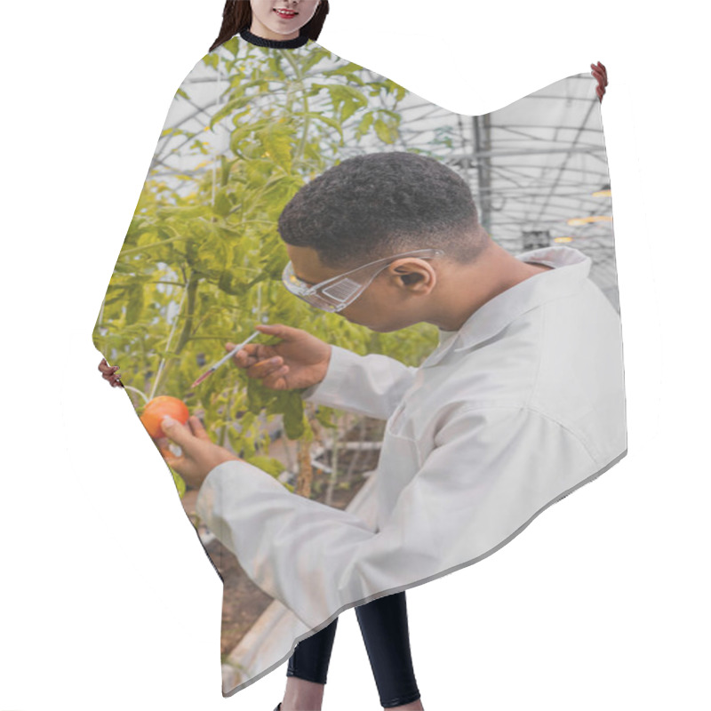 Personality  Side View Of African American Botanist In White Coat Holding Syringe Near Tomato On Plant In Greenhouse  Hair Cutting Cape