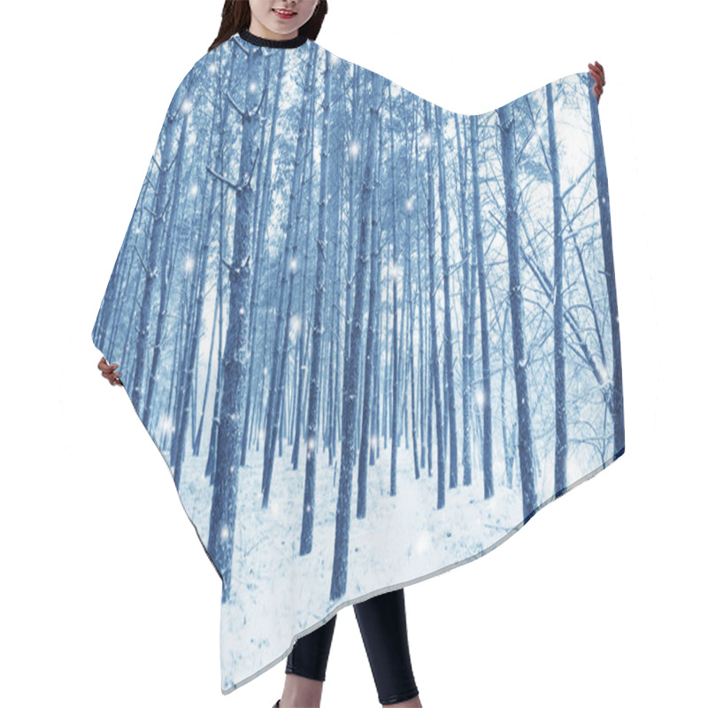 Personality  Snow In The Forest Hair Cutting Cape