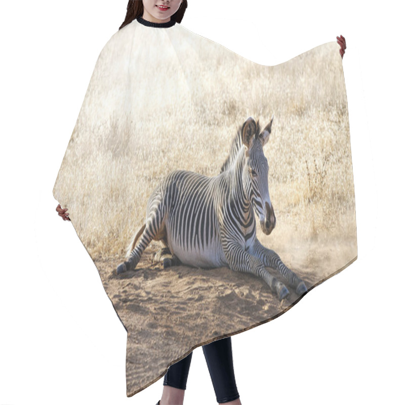 Personality  Cute Zebra In Wild Nature At Daytime  Hair Cutting Cape