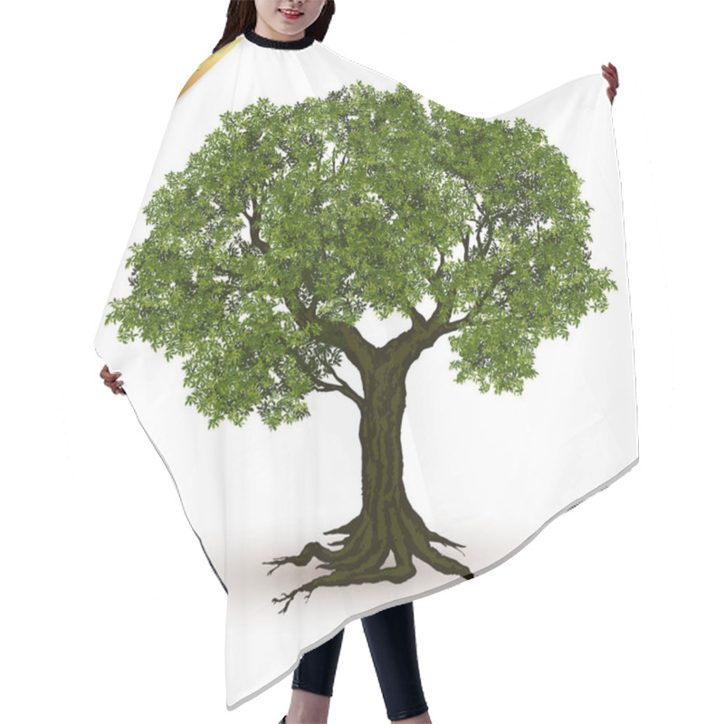 Personality  Beautiful Tree Realistic  On A White Background. Hair Cutting Cape