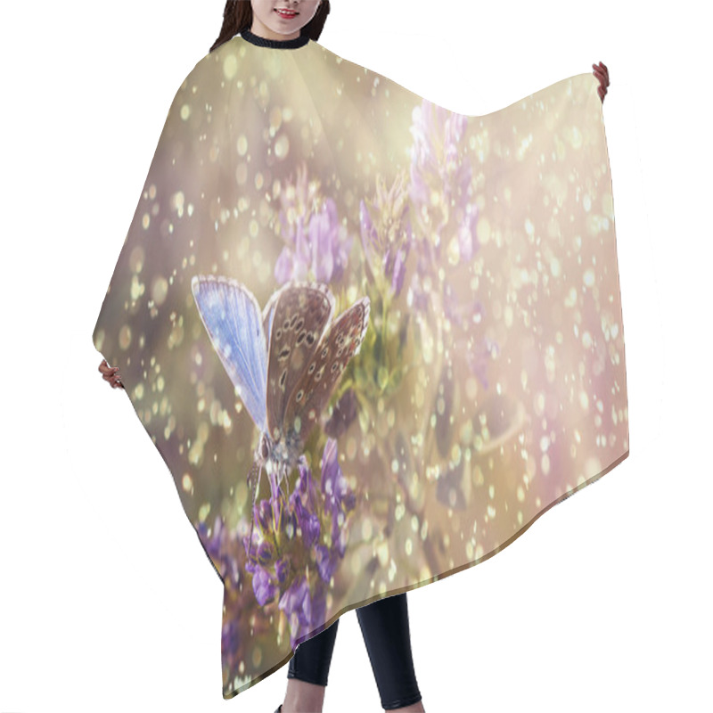 Personality  Butterfly In Rain And Sunset Hair Cutting Cape