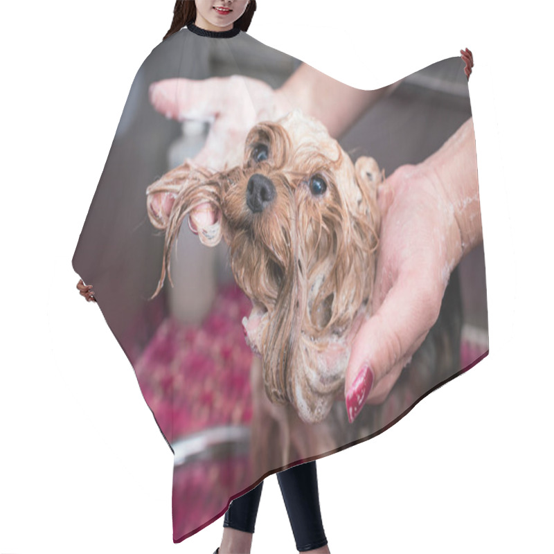 Personality  Groomer Washing Dog Hair Cutting Cape