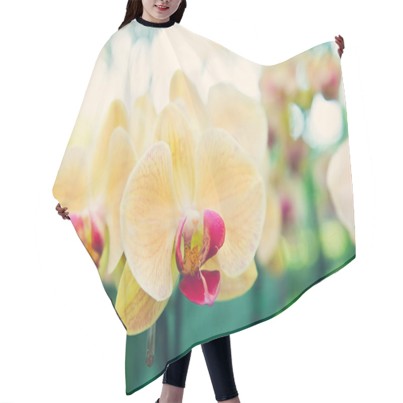 Personality  Yellow Orchid Flowers Hair Cutting Cape