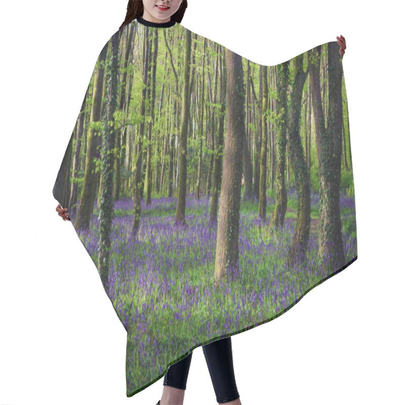 Personality  Bluebell Wood Cornwall England Uk  Hair Cutting Cape