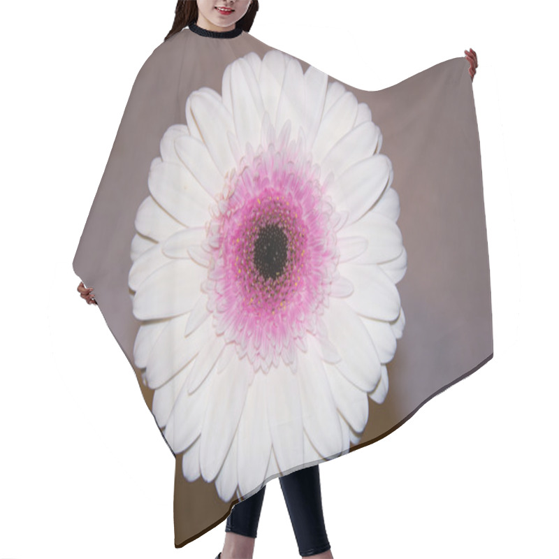 Personality  White And Pink Flower Hair Cutting Cape