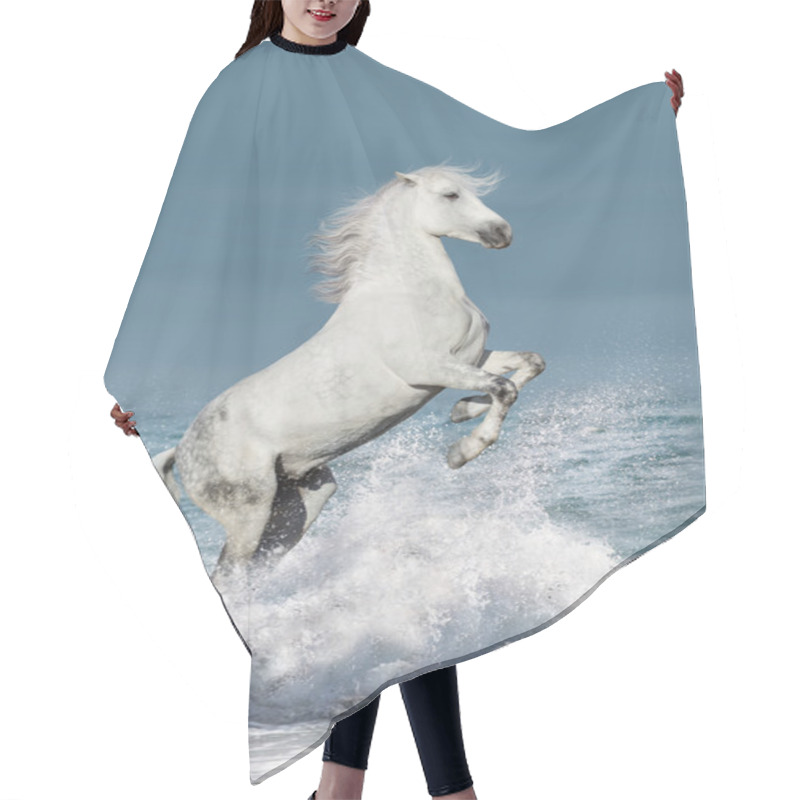 Personality  Horse Rearing Up In Water Hair Cutting Cape