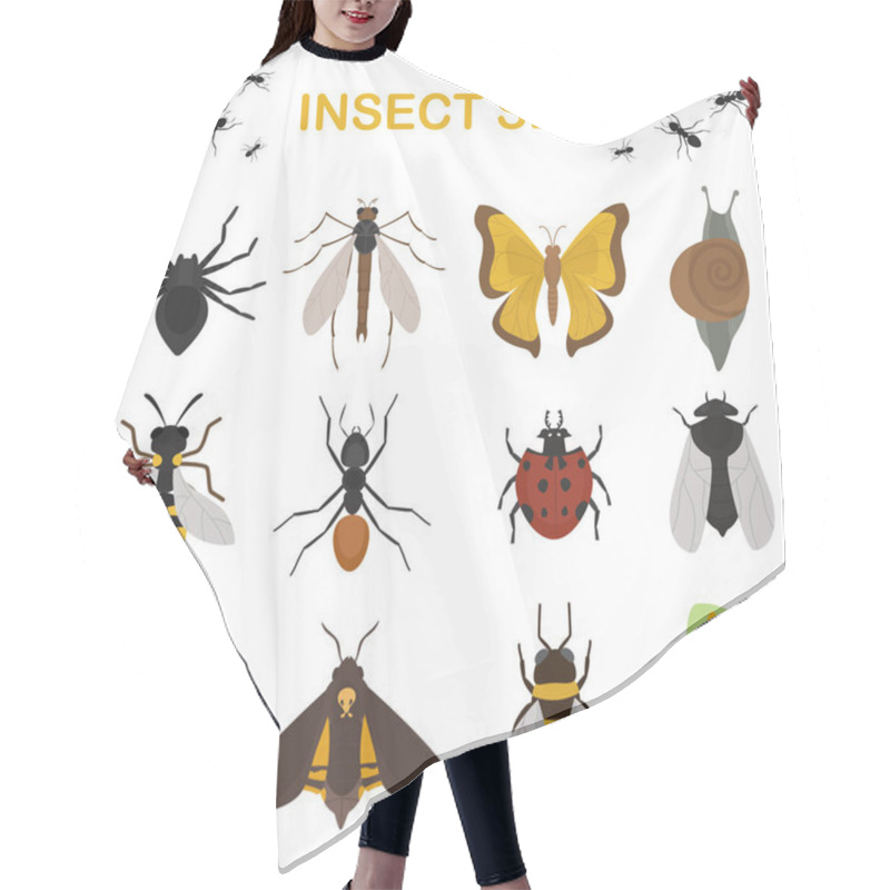 Personality  Fly Insects Wildlife Entomology Bug Animal Nature Beetle Biology Buzz Icon Vector Illustration Hair Cutting Cape