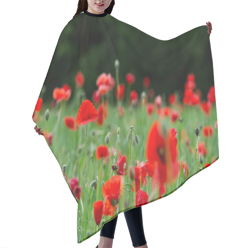 Personality  Beautiful Red Poppies Hair Cutting Cape