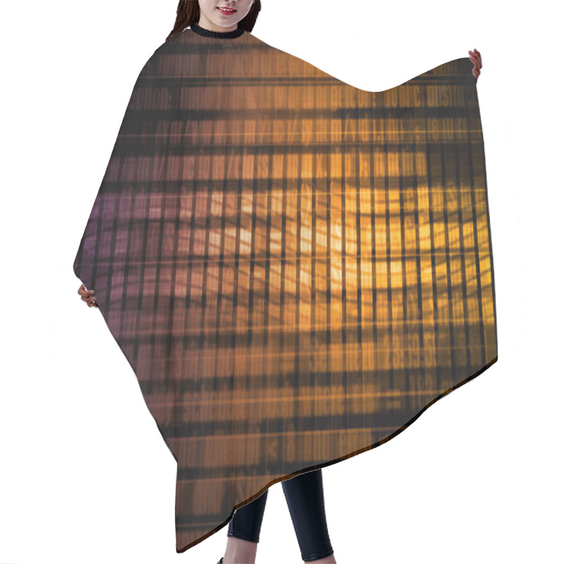 Personality  Digital Security Concept Art Hair Cutting Cape