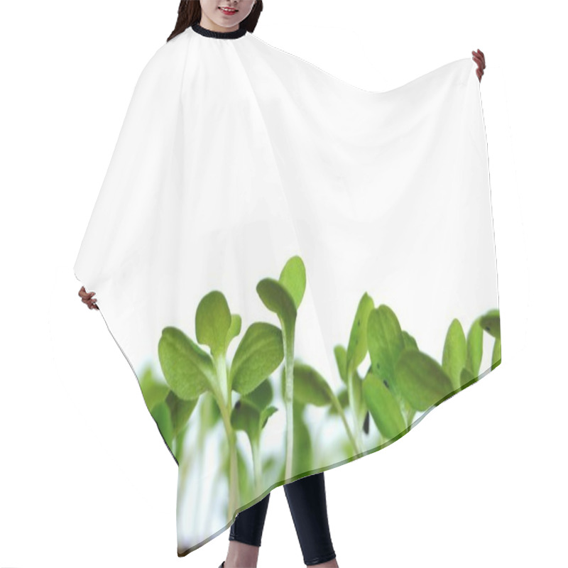 Personality  Young Small Shoots Of Salad Hair Cutting Cape