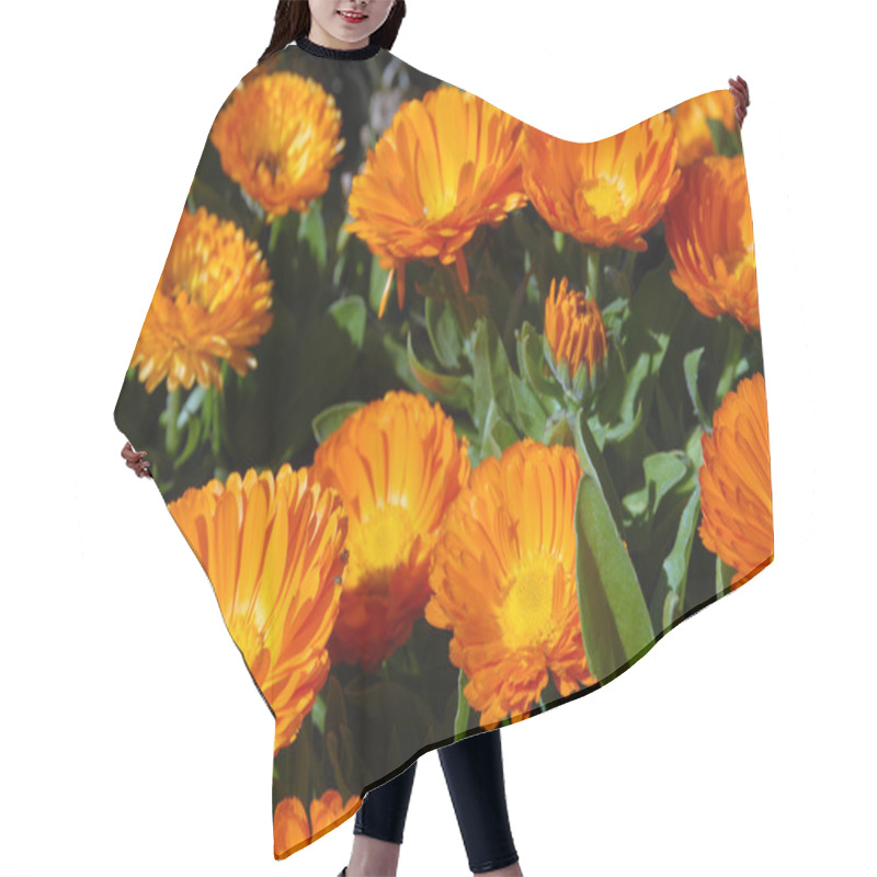 Personality  Orange Flowers. Hair Cutting Cape