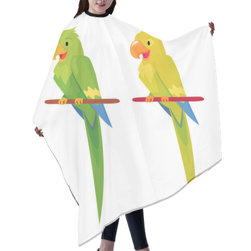 Personality  Two Parrot  Illustration Hair Cutting Cape