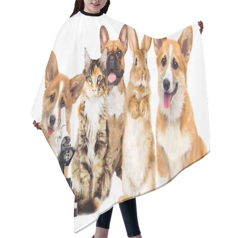 Personality  Set Of Animals On A White Background Hair Cutting Cape