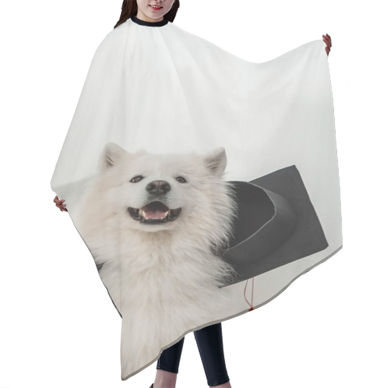 Personality  Dog In Graduation Hat Hair Cutting Cape