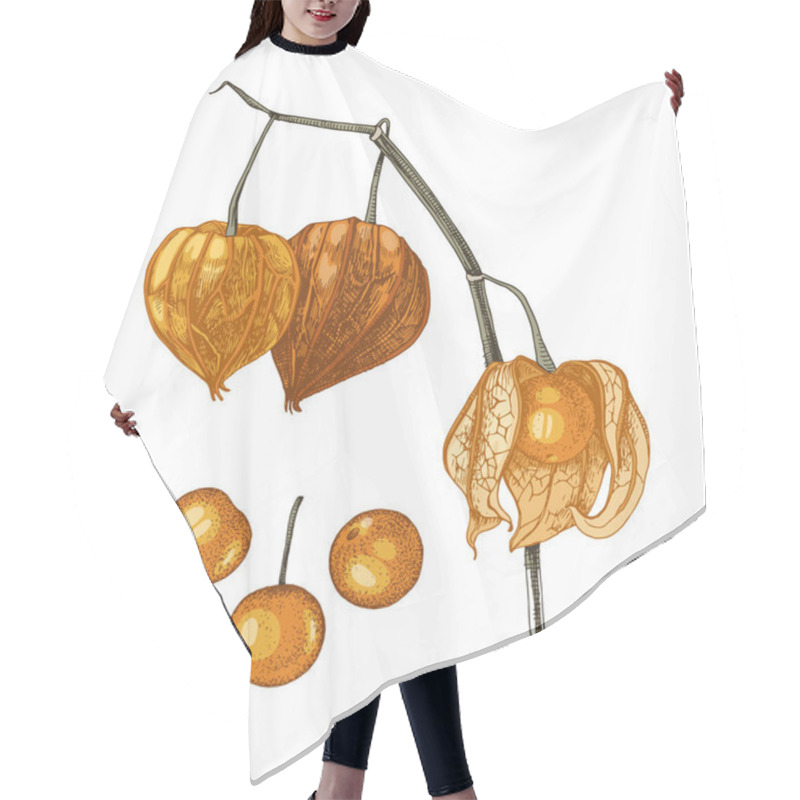 Personality  Hand Drawn Physalis Plant Isolated On White Background. Hair Cutting Cape